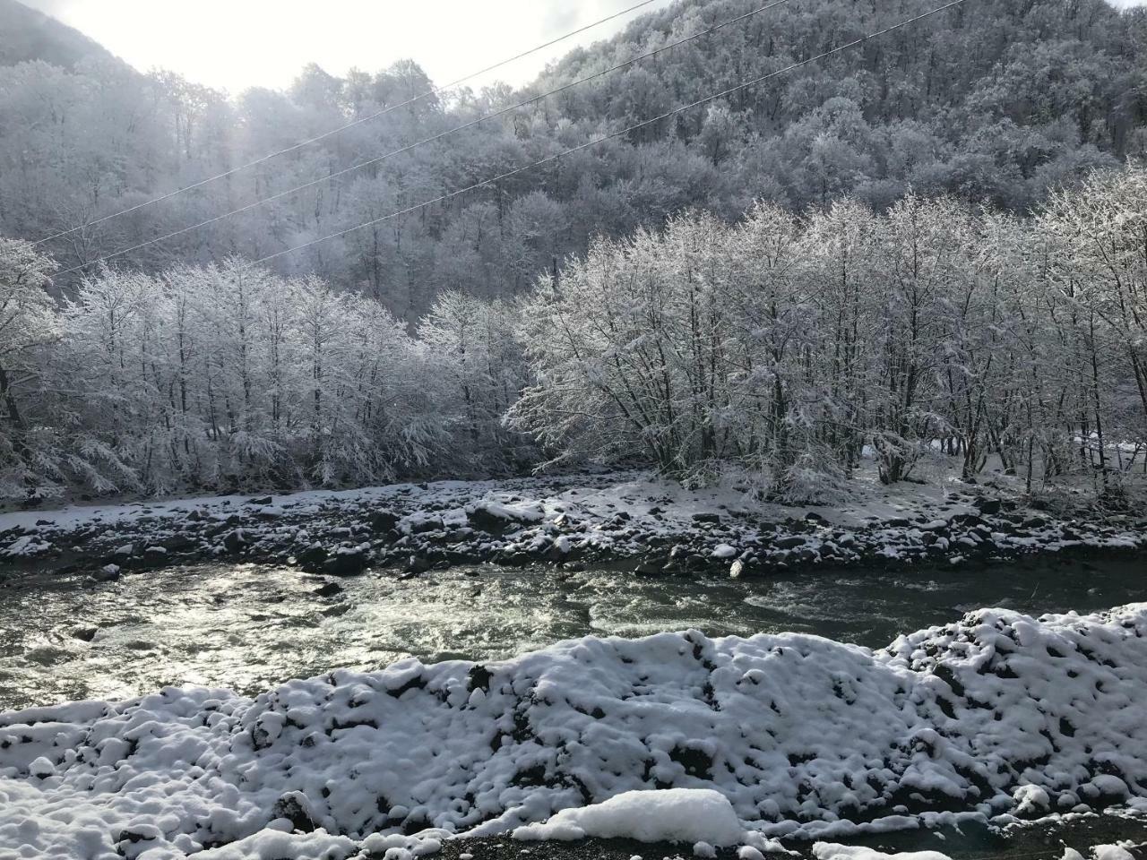 ホテル Tourist Complex Khomi Ch'argali エクステリア 写真